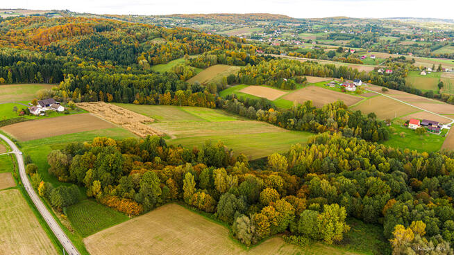 Działka Lichwinie. Rolno-leśna, OKAZJA !!
