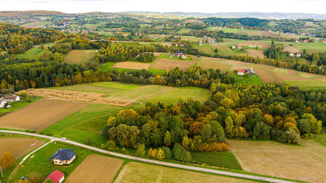 Działka Lichwinie. Rolno-leśna, OKAZJA !!