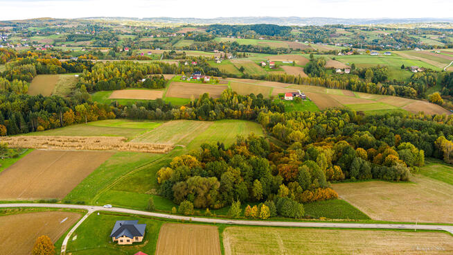 Działka Lichwinie. Rolno-leśna, OKAZJA !!