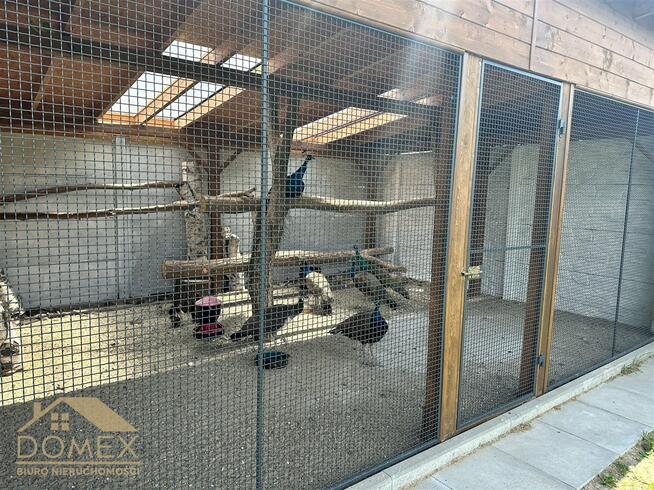 Lokal użytkowy Gorzyce