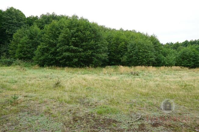 Działki otoczone lasem, powierzchnie od 1543 m2