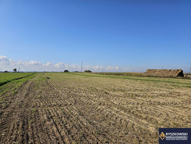 Działka rolno-budowlana Siedliska Kolonia gm. Zamość