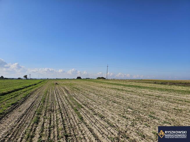 Działka rolno-budowlana Siedliska Kolonia gm. Zamość