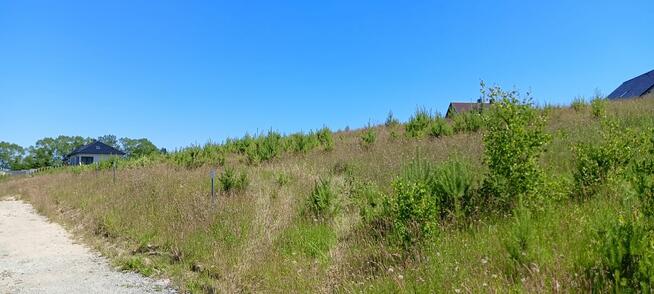 Działka budowlana Donimierz gm. Szemud, Na Skarpie