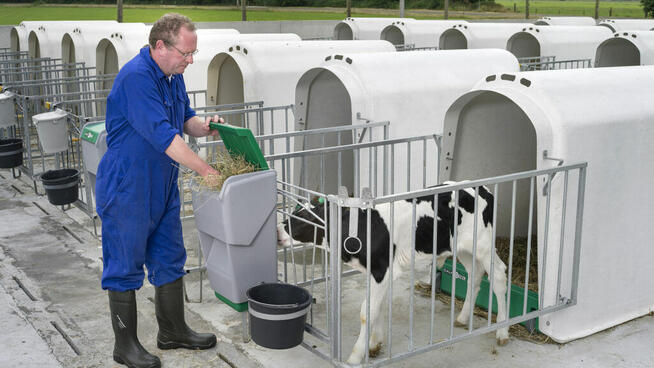 Budka Iglo Comfort z 4-częściowym ogrodzeniem