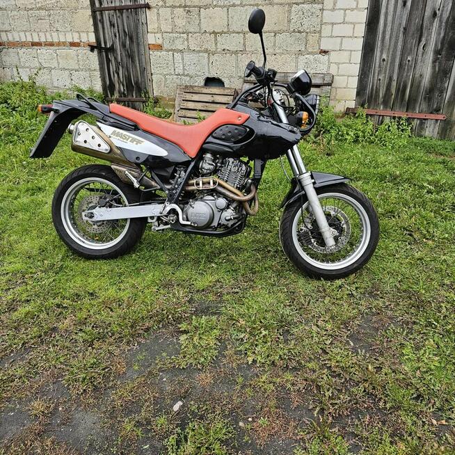 MZ BBAGHIRA 660 oraz Mastiff MZ 660