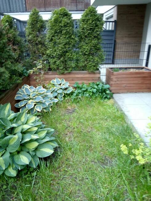 BEZPOŚREDNIO SPRZEDAM TRZYPOKOJOWE Z OGRÓDKIEM