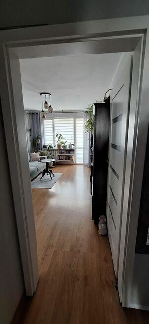 3-pokojowe mieszkanie w bloku na drugim piętrze +opcja ROD z