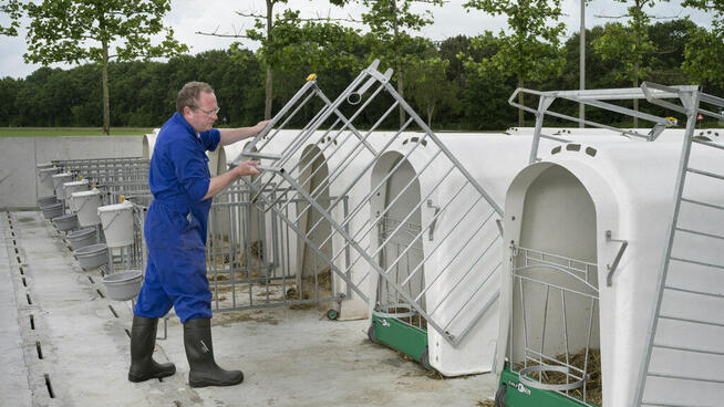 Budka Iglo Comfort z 4-częściowym ogrodzeniem