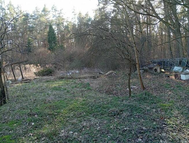 Sprzedam dom z dzialka