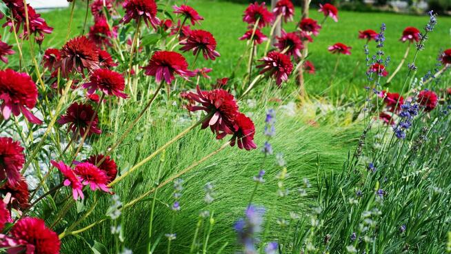 Ogrodnik=Jesienne Prace ogrodowe.Pielenie, porządki.