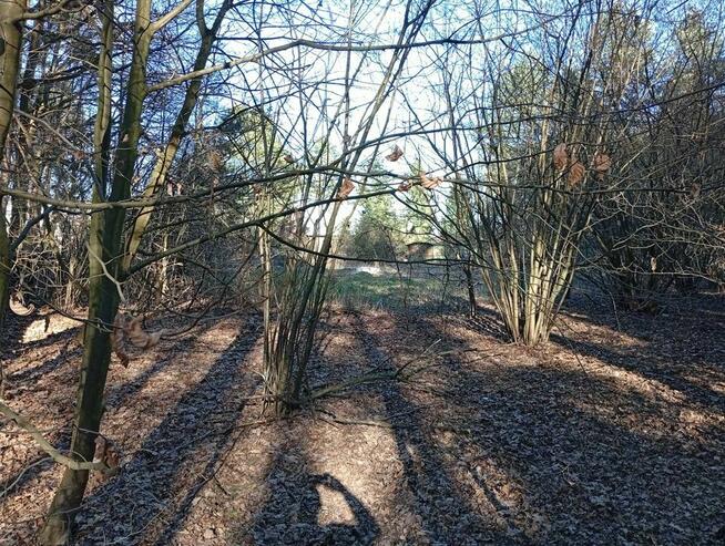 Sprzedam dom z dzialka