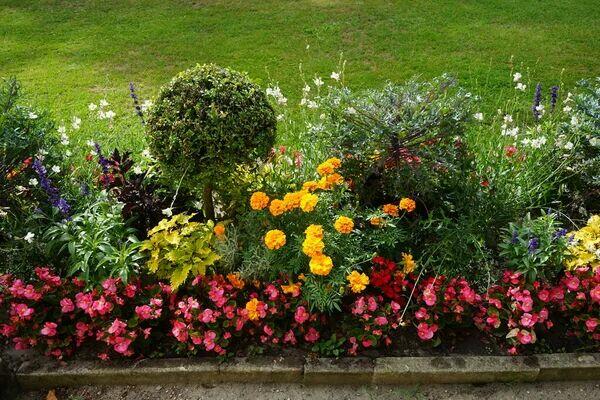 Ogrodnik=Grabienie liści.Otulanie Róż na zimę., porządki.