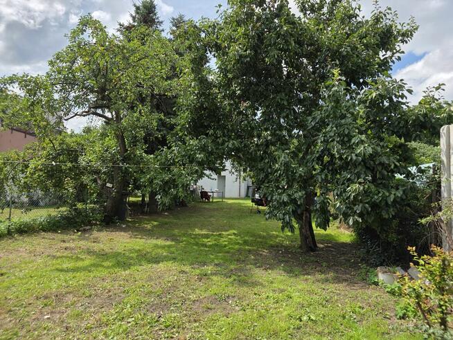 Mieszkanie z działką