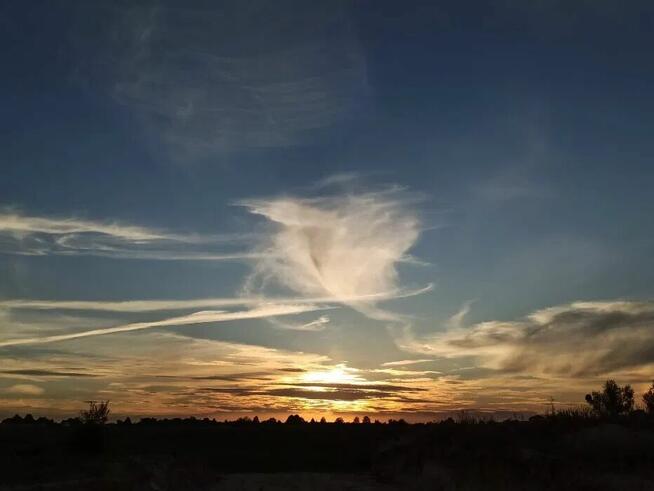 Działka budowlana Moczkowo – inwestycja z potencjałem!