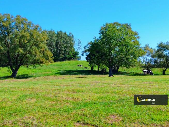 3 działki budowlane w Olszewie gm Prostki