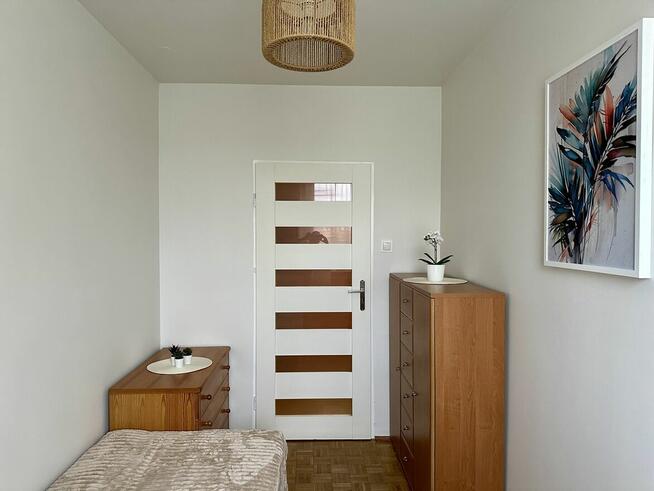 Od zaraz, 3-pok, idealne dla studentów, UE, ul. Ślężna