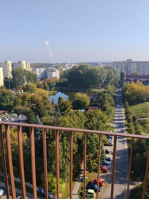 Bielany dwupokojowe rozkładowe