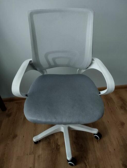 Fotel obrotowy z Siatką