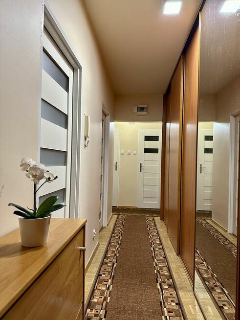 Od zaraz, 3-pok, idealne dla studentów, UE, ul. Ślężna