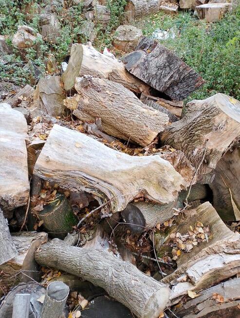 Drewno kominkowe/opałowe