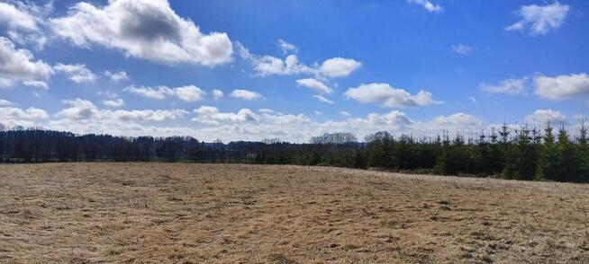 Działka budowlana Grabowiec gm. Szemud, Lipowa