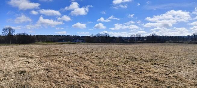 Działka budowlana Grabowiec gm. Szemud, Lipowa