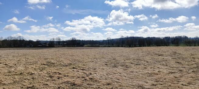 Działka budowlana Grabowiec gm. Szemud, Lipowa