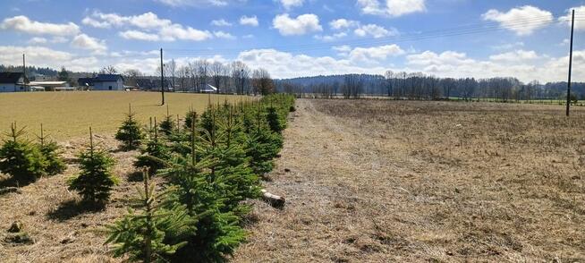 Działka budowlana Grabowiec gm. Szemud, Lipowa