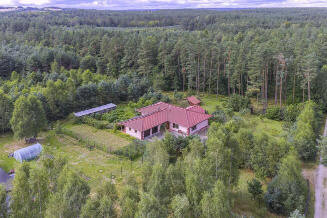 Dom Dąbrówka gm. Luzino, Sosnowa