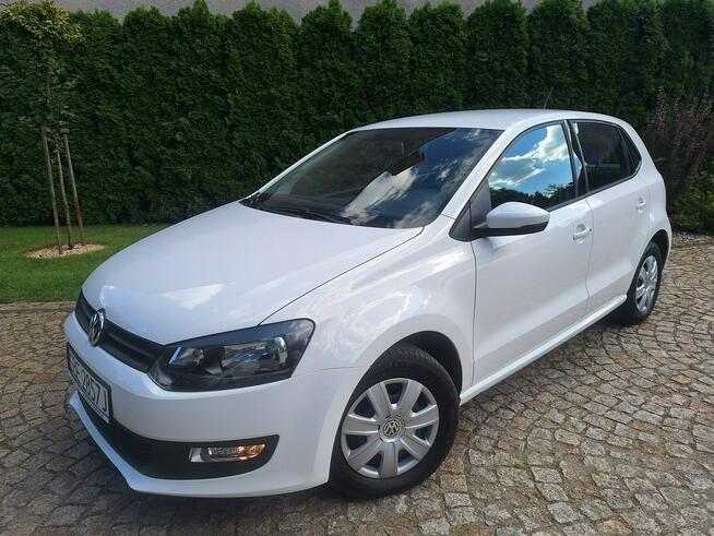 Polo Cool Trendline