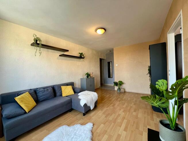 Mieszkanie Szczecin Centrum