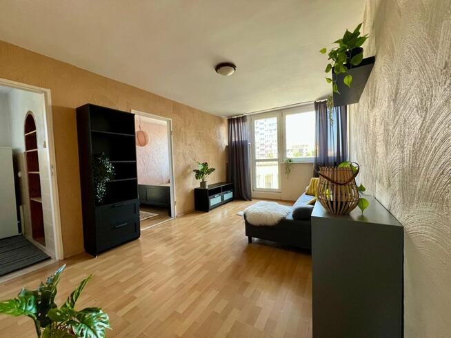 Mieszkanie Szczecin Centrum