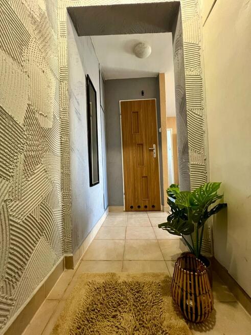 Mieszkanie Szczecin Centrum