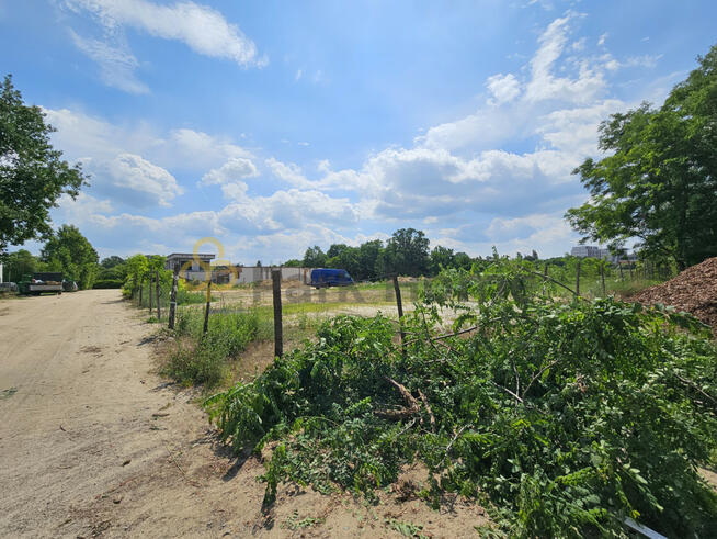 Działka budowlana Zielona Góra, Źródlana