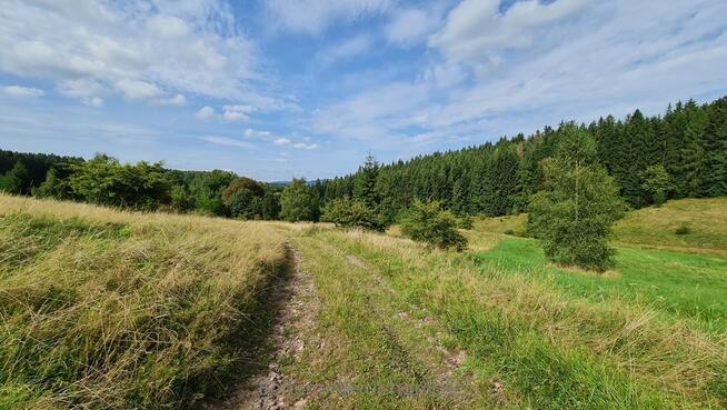 Na sprzedaż działki budowlane Bartnica