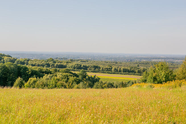 Działka zagrodowa Łysa Góra - gm. Dębno!