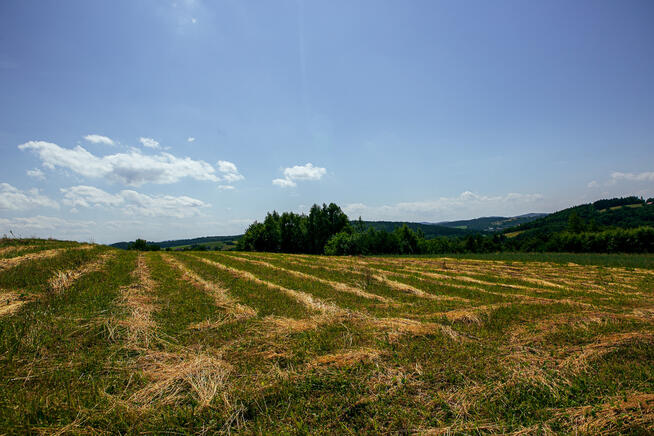 Działka rolno-budowlana w Gromniku!