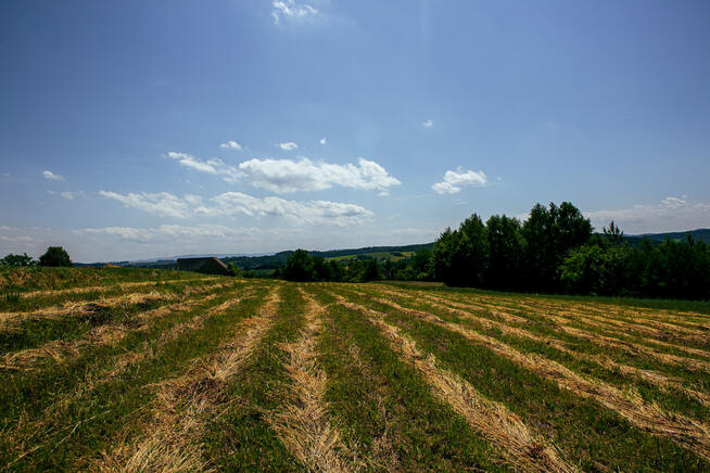 Działka rolno-budowlana w Gromniku!