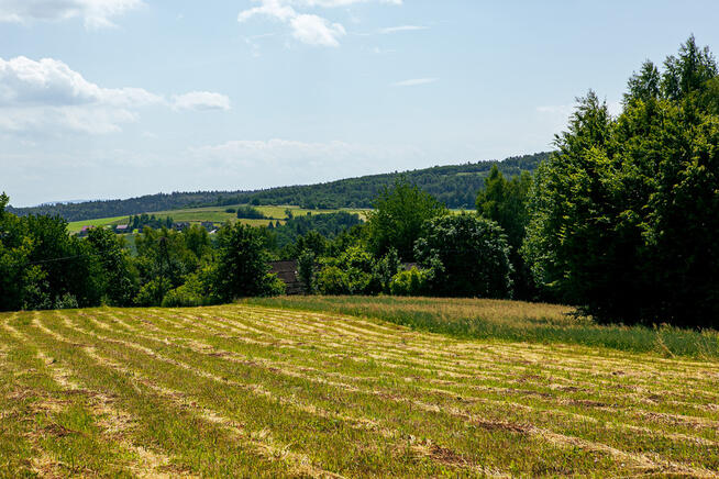 Działka rolno-budowlana w Gromniku!