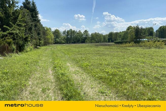 Hit, Duża działka budowlana!