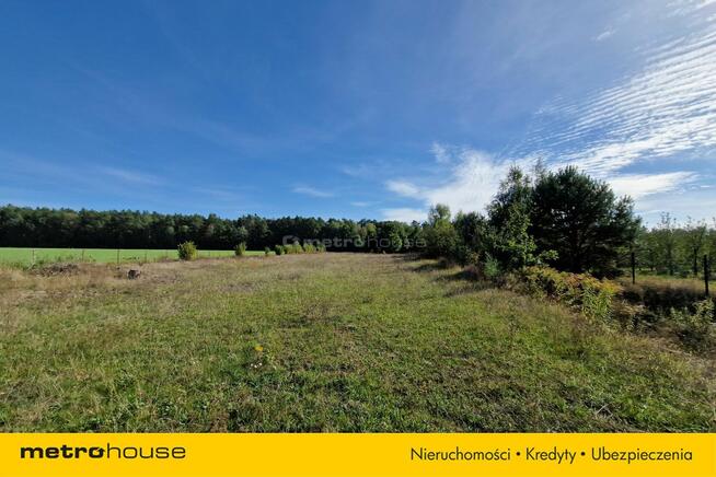 Działka budowlana i stajnia - 1,4ha przy lesie.