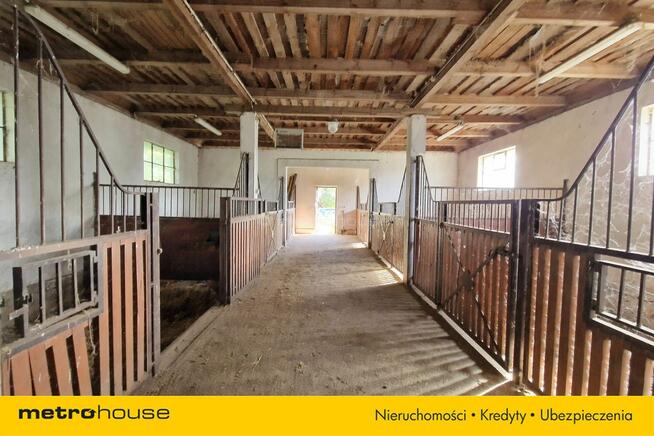 Działka budowlana i stajnia - 1,4ha przy lesie.