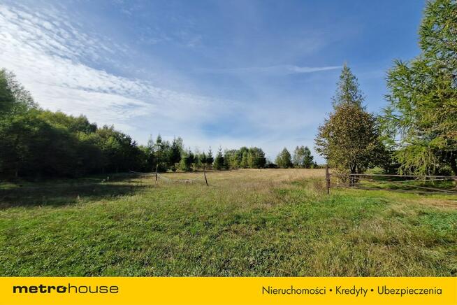 Działka budowlana i stajnia - 1,4ha przy lesie.