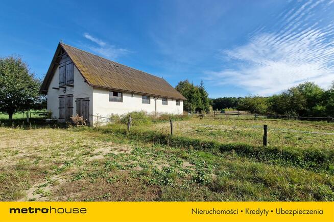 Działka budowlana i stajnia - 1,4ha przy lesie.