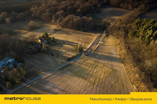 2 DZIAŁKI W JEDNEJ CENIE 20 km OD STRZELINA