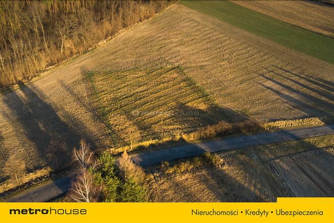 2 DZIAŁKI W JEDNEJ CENIE 20 km OD STRZELINA