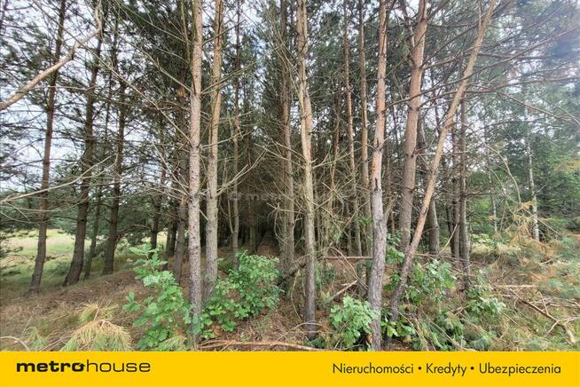 Działka o powierzchni 3111m w Białej Podlaskiej