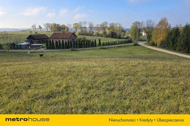 Działka zagrodowa nad jeziorem Narie w Wilnowie.