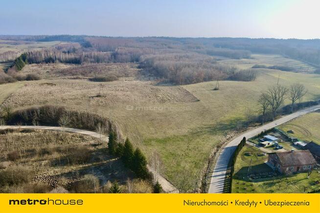 Działka zagrodowa nad jeziorem Narie w Wilnowie.